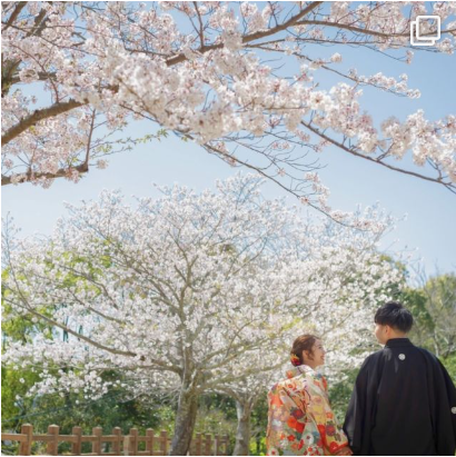 bsのinstagram投稿4